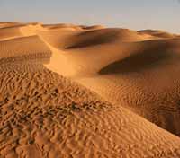 Sand Dunes Sand Dunes